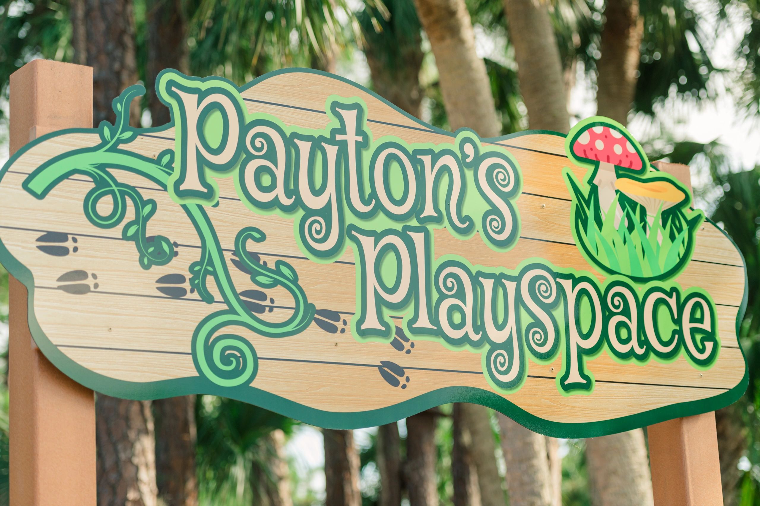Volunteer Built Community Playground Paytons Playspace